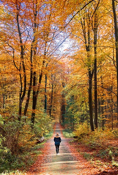 Walking is one of the gentlest forms of cardio